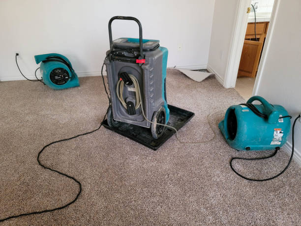Water damage restoration mold remediation in Baltic, SD