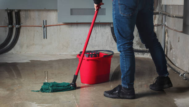Best Carpet water damage restoration  in Baltic, SD