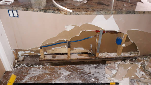 Best Carpet water damage restoration  in Baltic, SD