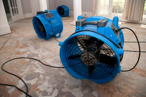 Best Ceiling water damage repair  in Baltic, SD