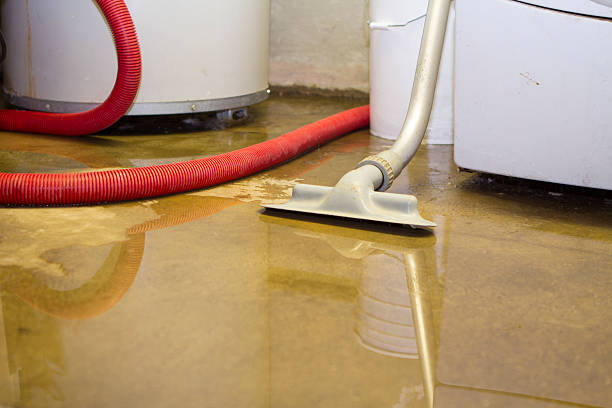 Sewage cleanup and water damage restoration in Baltic, SD