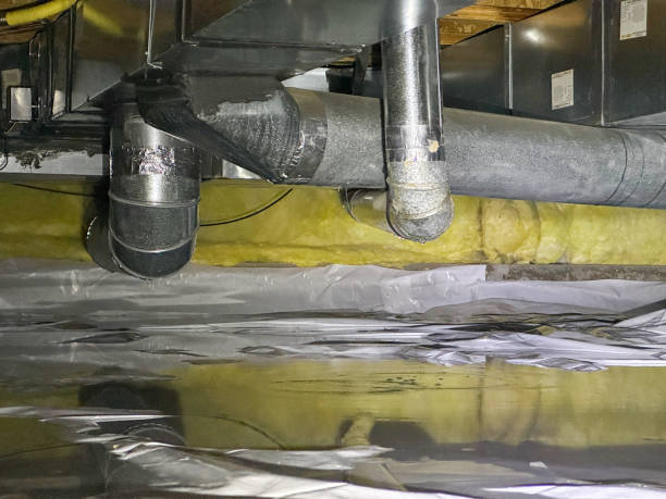 Best Water damage contractors near me  in Baltic, SD