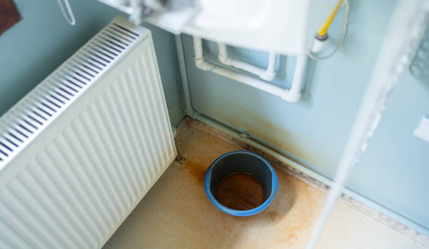 Best Mold removal after water damage  in Baltic, SD