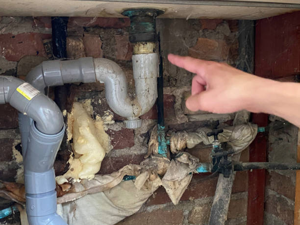 Best Emergency water extraction  in Baltic, SD