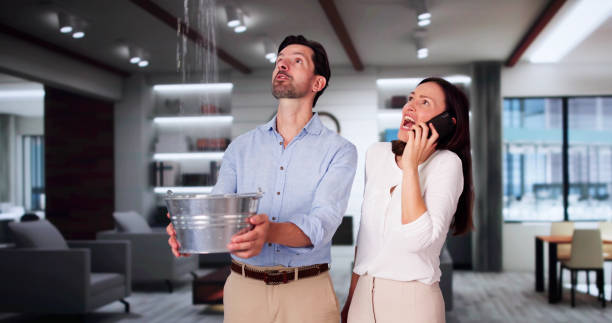 Best Water damage cleanup near me  in Baltic, SD