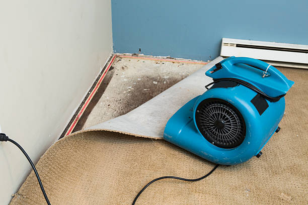 Best Local water damage restoration  in Baltic, SD